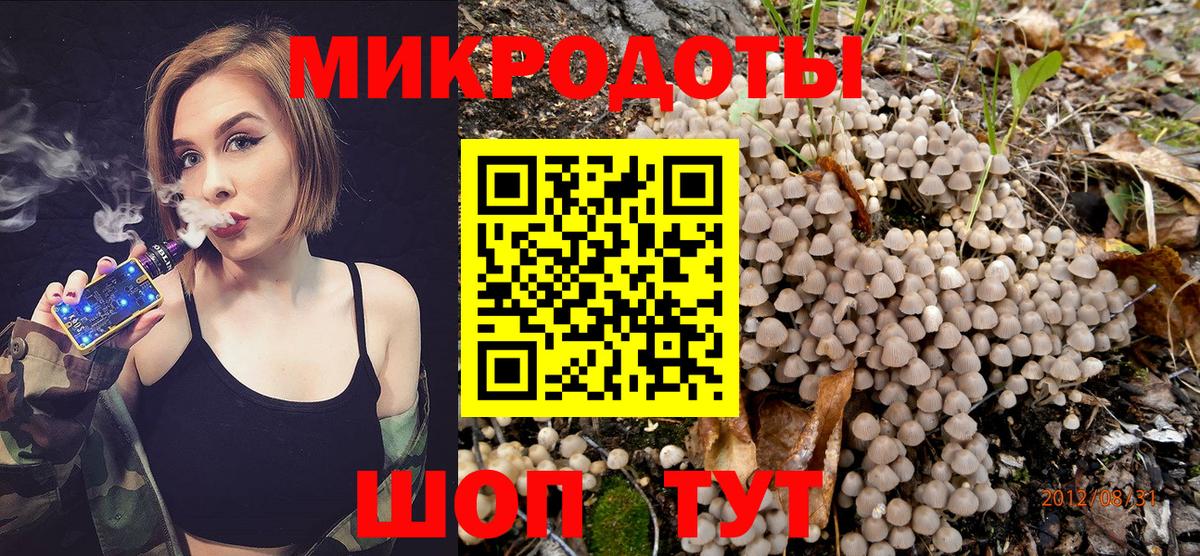 Псилоцибиновые грибы мицелий Усть-Илимск
